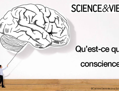 Actu 76 : Science&Vie – Qu’est-ce que la conscience ?